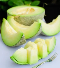 Meloun Tenor F1 - Cucumis melo - semena melounu - 6 ks