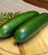 Mini okurka salátová La Diva - Cucumis sativus - semena okurky - 8 ks