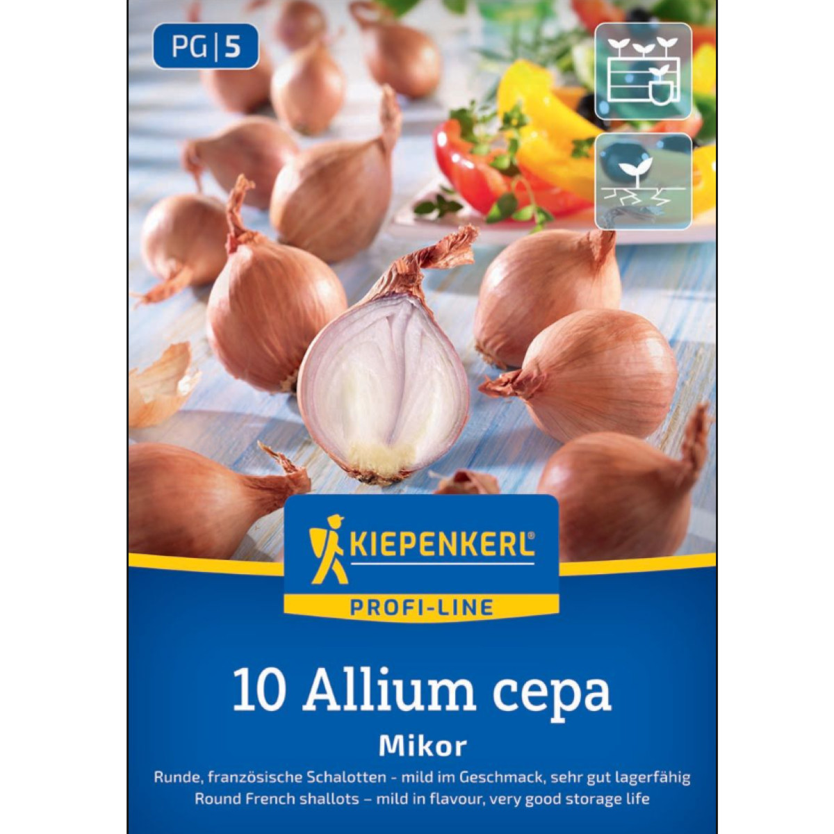 Cibule šalotka Mikor - Allium cepa - cibulky - 10 ks