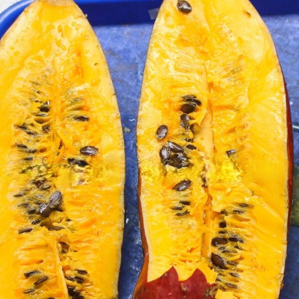 Muškátová okurka - Sicana odorifera - semena okurky - 6 ks