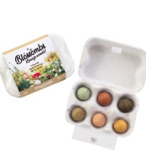 Semínkové bomby - dárkový box na vajíčka - Blossombs - 6 kuliček - 1 balení