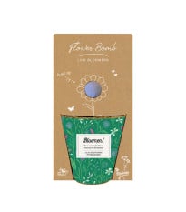 Pěstební set - Grow kit - nízko rostoucí květinová směs - Blossombs - 1 ks