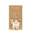 Pěstební set - Grow kit - směs pro motýly - Blossombs - 1 ks