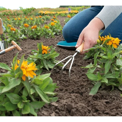 Ruční hrabičky - SOGO - 1 ks