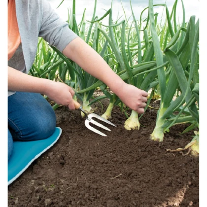 Ruční zahradní vidlička - SOGO - nerezová ocel - 1 ks