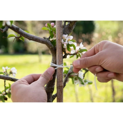 Biologicky rozložitelná vázací bužírka - SOGO - 10 m - 1 ks