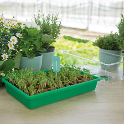 Teploměr do pařeniště - SOGO - 1 ks