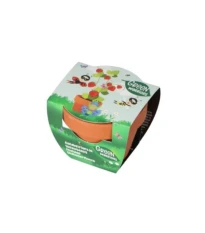 Dárková sada pro pěstování jahod - Pieterpik - 1 ks