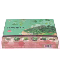 Buzzy – Startovací sada kuchyňské bylinky - Pieterpik - 1 ks