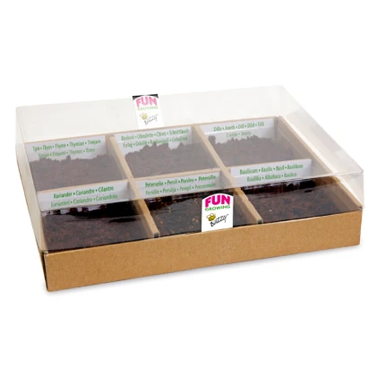 Buzzy – Startovací sada kuchyňské bylinky - Pieterpik - 1 ks