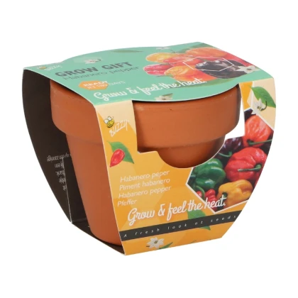 Buzzy Grow Gifts - Mini sada pro pěstování papriky - Pieterpik - 1 ks