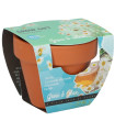 Buzzy Grow Gifts - Mini sada pro pěstování heřmánku - Pieterpik - 1 ks