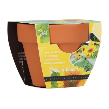 Buzzy Grow Gifts - Mini sada pro pěstování slunečnice - Pieterpik - 1 ks