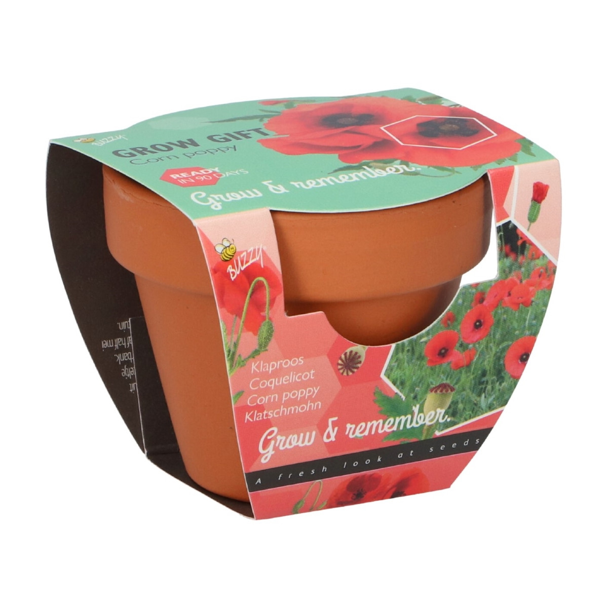 Buzzy Grow Gifts - Mini sada pro pěstování máku - Pieterpik - 1 ks