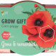 Buzzy Grow Gifts - Mini sada pro pěstování máku - Pieterpik - 1 ks
