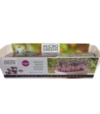 Buzzy - Sada pro pěstování ředkve Daikon Red - Pieterpik - 1 ks