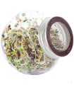 Buzzy - Bio klíčící sklenice Pikantní mix - Pieterpik - 1 ks