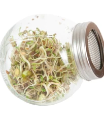 Buzzy - Bio klíčící sklenice Salátový mix - Pieterpik - 1 ks