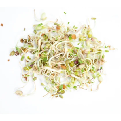 Buzzy - Bio klíčící sklenice Salátový mix - Pieterpik - 1 ks