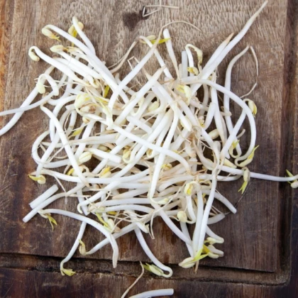 Buzzy - Bio klíčící sklenice Mungo - Pieterpik - 1 ks