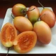 Rajčatový strom žlutý Tamarillo - Cyphomandra betacea - semena rajčatového stromu - 5 ks