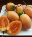 Rajčatový strom žlutý Tamarillo - Cyphomandra betacea - semena rajčatového stromu - 5 ks