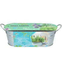 Buzzy - Okenní minizahrádka Kuchyňské bylinky - Pieterpik - 1 ks