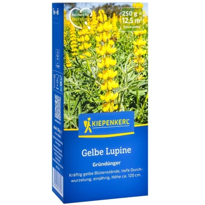 Zelené hnojení - Lupina žlutá - semena - 250 g