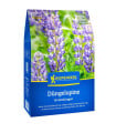 Zelené hnojení - lupina úzkolistá - semena - 800 g