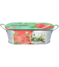 Buzzy - Okenní minizahrádka pro pěstování jahod - Pieterpik - 1 ks