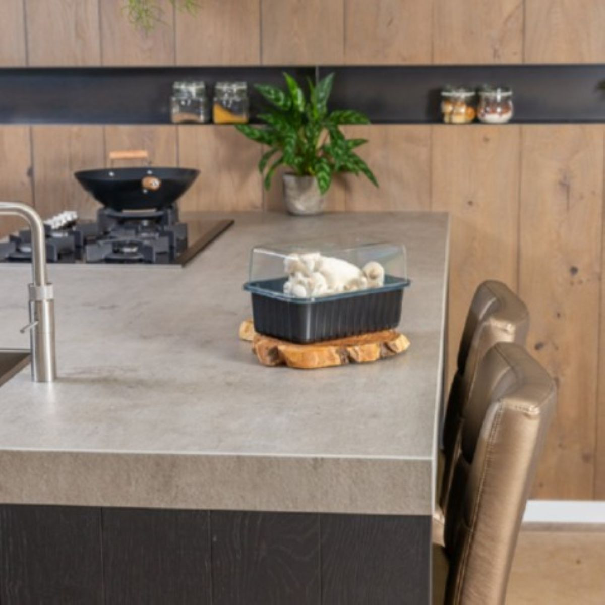 Mini Champ - sada pro domácí pěstování hlívy královské - Pleurotus eryngii - 1 ks