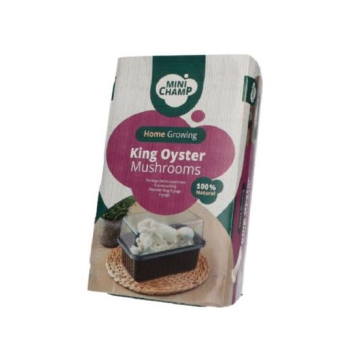 Mini Champ - sada pro domácí pěstování hlívy královské - Pleurotus eryngii - 1 ks