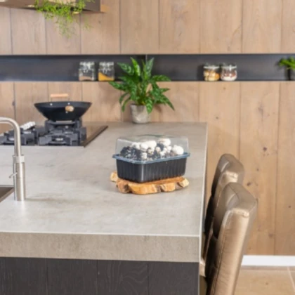 Mini Champ - sada pro domácí pěstování bílých žampionů - Agaricus bisporus - 1 ks