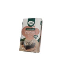 Mini Champ - sada pro domácí pěstování hlívy šedé - Pleurotus ostreatus - 1 ks