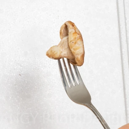 Mini Champ - sada pro domácí pěstování hlívy šedé - Pleurotus ostreatus - 1 ks