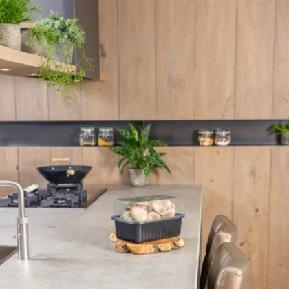 Mini Champ - sada pro domácí pěstování hlívy šedé - Pleurotus ostreatus - 1 ks