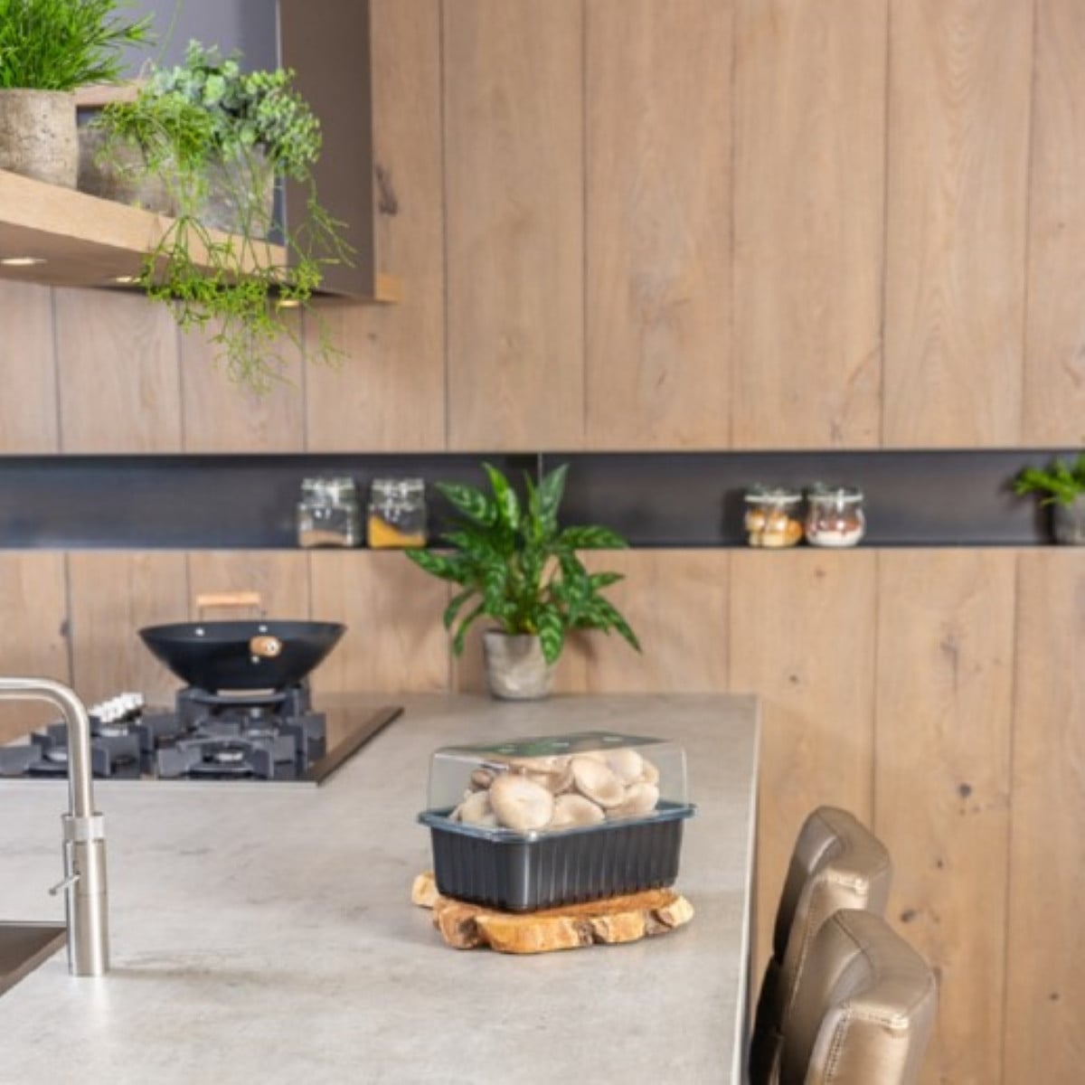 Mini Champ - sada pro domácí pěstování hlívy šedé - Pleurotus ostreatus - 1 ks