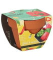 Buzzy Grow Gifts - Mini sada pro pěstování papriky - Pieterpik - 1 ks