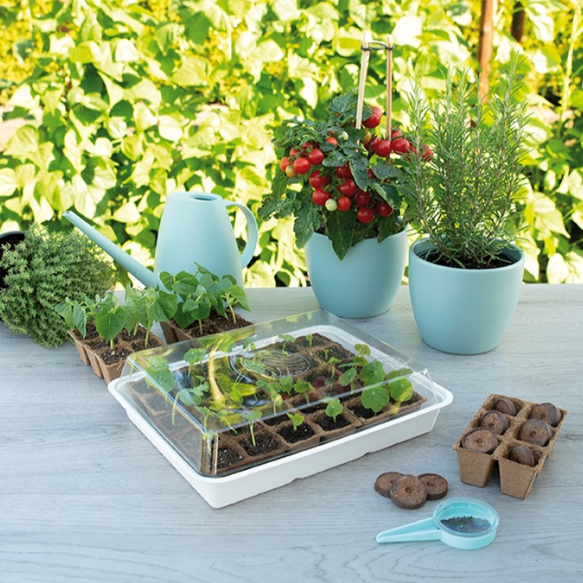 Minipařeniště se sadbovačem SOGO - 8,5 x 32,5 x 26 cm - 1 ks