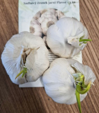 Sadbový česnek Flavor - Allium sativum - nepaličák - cibule česneku - 3 ks