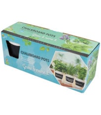 Buzzy - Sada na pěstování bylinek s květináči - Pieterpik - 1 ks