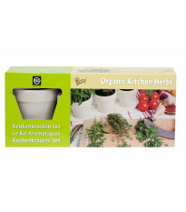 Buzzy - Keramické květináče na podmisce - bílá - Pieterpik - 3 ks