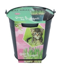 Buzzy - Sada pro pěstování kočičí trávy - Pieterpik - 1 ks