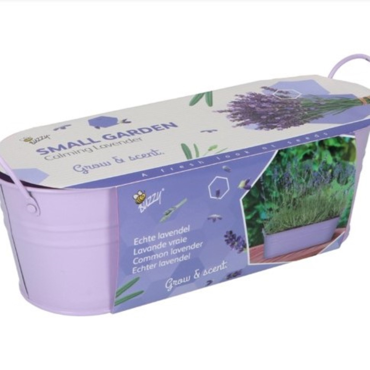 Buzzy - Minizahrádka Uklidňující levandule - Pieterpik - 1 ks