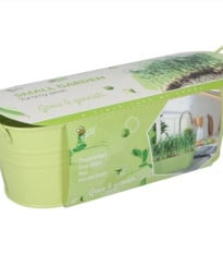 Buzzy - Minizahrádka Chutný hrášek - Pieterpik - 1 ks