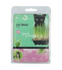 Buzzy - Kočičí tráva pro domácí pěstování - Pieterpik - 50 g