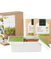 Startovací sada BIO microgreen - Heimgart - sada včetně 2 plátů