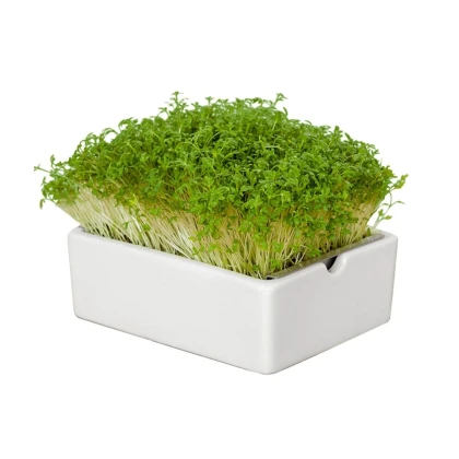 Startovací sada BIO microgreen - Heimgart - sada včetně 2 plátů