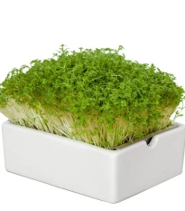 BIO microgreen Řeřicha - Heimgart - náhradní pláty - 1 ks