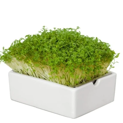 BIO microgreen Řeřicha - Heimgart - náhradní pláty - 1 ks